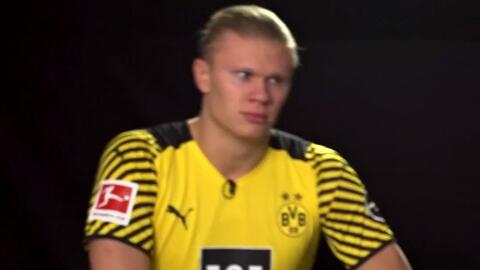 天津市公示体育资助项目，津门虎去年外援引进资金为2300万（天津公布体育资助项目：津门虎去年引进外援投入2300万元）